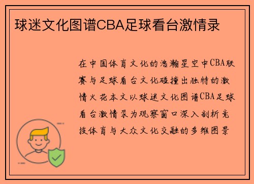 球迷文化图谱CBA足球看台激情录